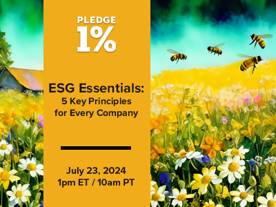 ESG Essentials: 5 Key Principles for Every Company - Pledge 1% Community
