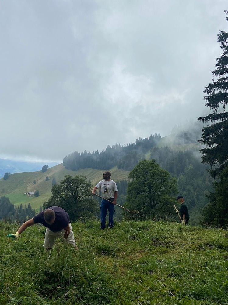 vto-switzerland-mountains - Richard Henke.jpeg