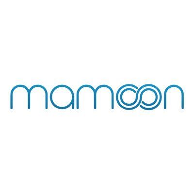 Mamoon Enterprises, LLC
