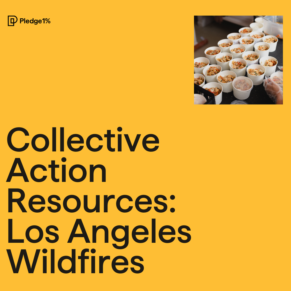 Collective Action Resources: Los Angeles Wildfires