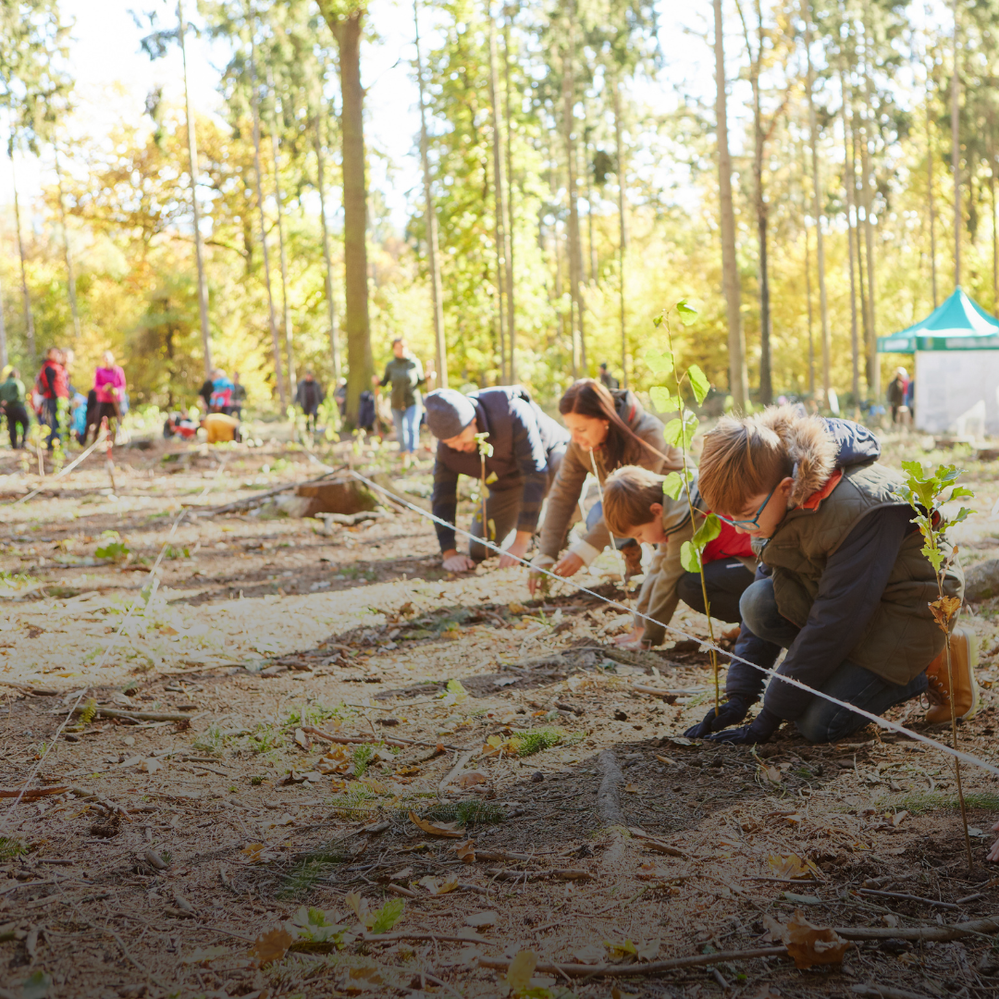 Making an Impact: Your Guide to Earth Month