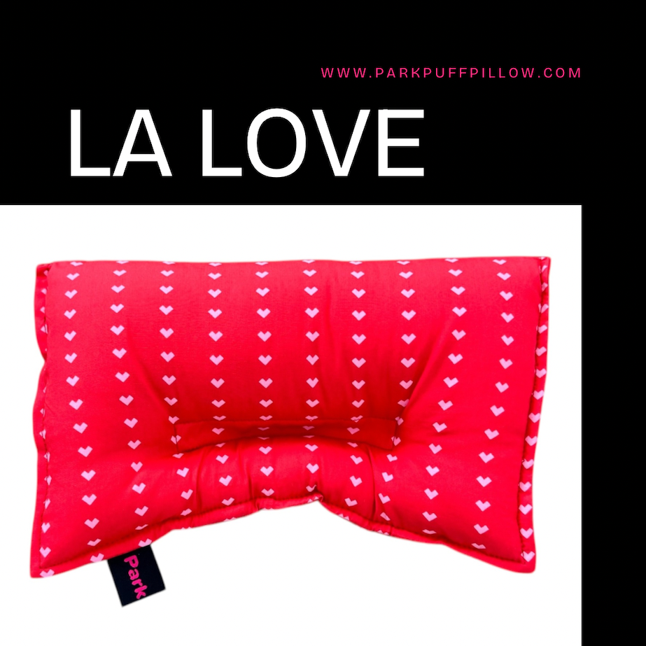 ParkPuff-Seatbelt-Pillow-LA-Love-1MB - Rachel Park.PNG