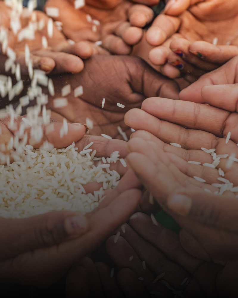 Uniting for Change: A Resource for World Hunger Day 2025